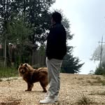 ROGER PEÑA - @rogerpna15 - Instagram