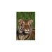 Roger Pennell - Facebook