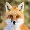 Roger Perret962 - @rogerperret962 - TikTok