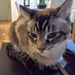 Roger Pharr - @rdpharr - Instagram