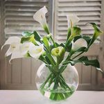 roger.p - @rogerpinson6 - Instagram