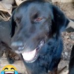Roger Pinzon - @roger.pinzon.1088 - Instagram