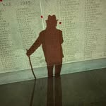 Roger Piovesan - @roger.piovesan - Instagram