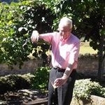 Roger Platt - @rogerplatt1 - Instagram