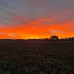 roger plattner - @roger_plattner - Instagram