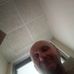 Roger Poteet - Facebook