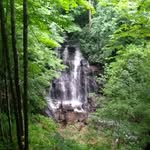 Roger Priest - @rogerpriest8 - Instagram