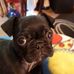 Primrose Rogers - Facebook