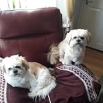 Roger Proffitt - @roger.proffitt - Instagram