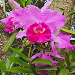 Roger Purchase - @rigger400 - Instagram