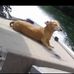 Roger Pyle - Facebook