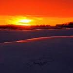 Roger Quick - @rvq1960 - Instagram