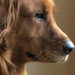 Roger Quick - @roger.quick.58 - Instagram