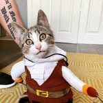 Ralph & Roger - @ralph.and.roger - Instagram