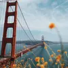 Ralph Roger - @ralphroger410 - TikTok