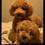 Ralph Roger - @crazyralphandroger - Instagram