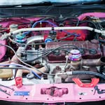 Roger Ralph - @damion_performance - Instagram