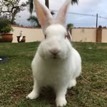 Roger Ralph Rovis - @roger_r_rovis - Instagram