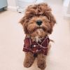 Roger.and.Ralph - @rogerandralph - TikTok