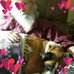 Roger Ralston - Facebook