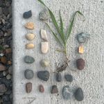 Roger Ralston - @forbiddenveggies - Instagram