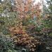 Roger Rapp - Facebook