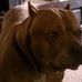 Roger Rapp - Facebook