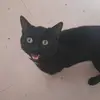 rogerratcliff903 - @rogerratcliff903 - TikTok