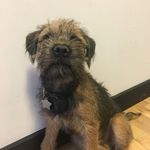 It's me, Roger! - @rogerready - Instagram