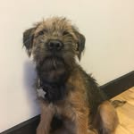It's me, Roger! - @rogerready - Instagram