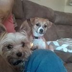 Roger Rector - @roger.rector.54 - Instagram