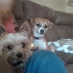 Roger Rector - @rectorroger - Instagram