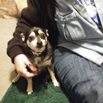 Roger Reeder - @roger.reeder.18 - Instagram