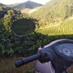 Rogério Reetz - @reetzrogerio - Instagram