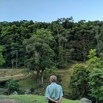 Rogério Reiter - @rogerio_reiter - Instagram