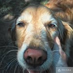 Roger Renfro - @locinvar - Instagram