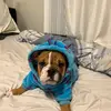 Lulu bear - @rogerrex100 - TikTok