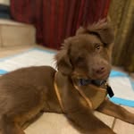 Roger Rhoads - @rogerfrhoads - Instagram