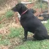 Roger Ricke - @roger.ricke - TikTok