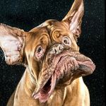 Roger_Ring - @roger_ring - Instagram