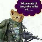 Roger Si Ringoringo - @roger.siringoringo - Instagram