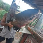 Roger Rios - @rogerrios15 - Instagram