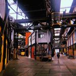 Ripley - @ripley_____rogers7mfgq - Instagram