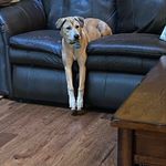 Roger Ripley - @teamrip52 - Instagram
