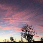 Roger Ristol - @rogerristol - Instagram