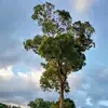 Roger Rizzo Vasqu715 - @user3340870091197 - TikTok