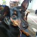 Roger Roach - Facebook