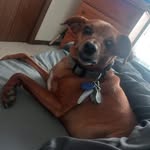 Roger Roach - @roger.roach.357 - Instagram