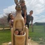Roger Robison - @roger_robison - Instagram