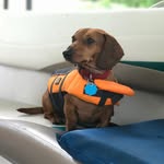 Roger - @roger.rocket.elson - Instagram